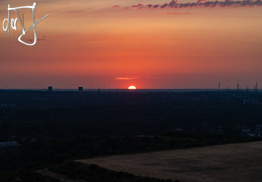 20260713-IMG 3042
